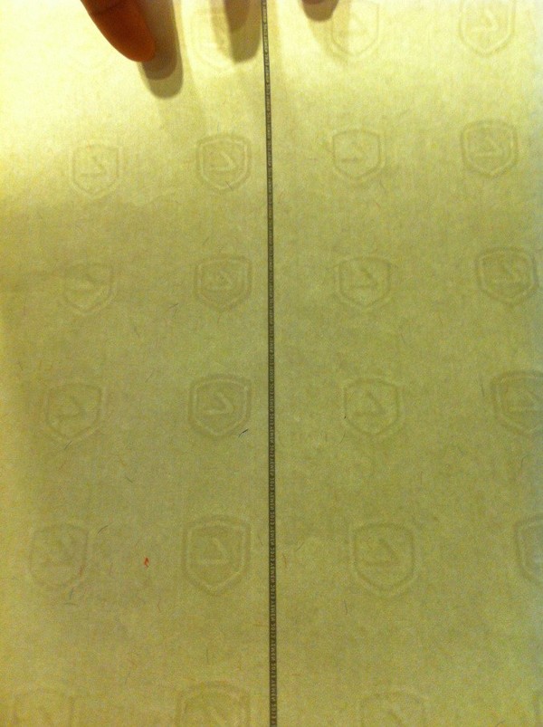 watermark paper1