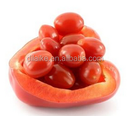 2014 Xinjiang tin tomato paste