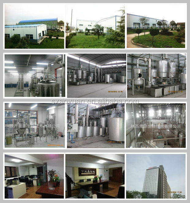 Aloe vera extract, Aloe vera dried powder100:1, 200:1, Aloin 10%, 20%
