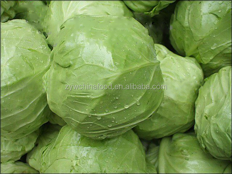 2014 Fresh Cabbage / Green Cabbage With High Quality Enjoying High Reputation