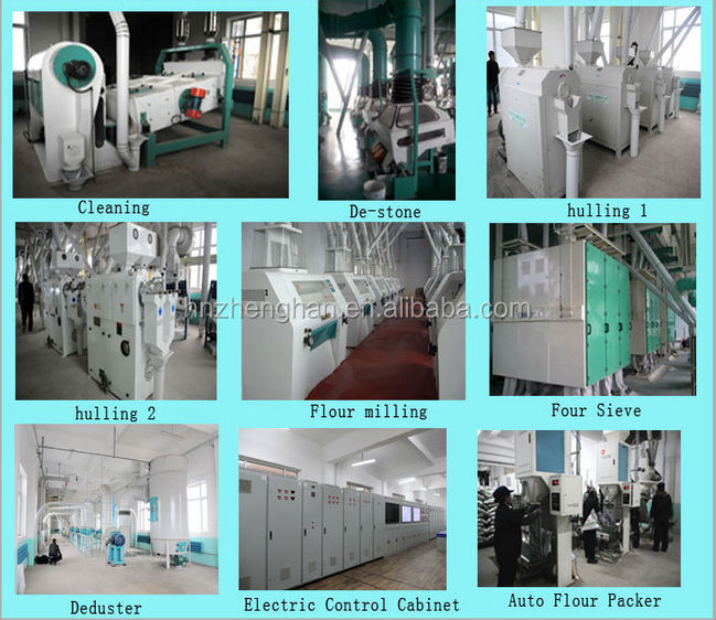 New R & D Rice Milling Machinery, Turn-Key Flour Machine
