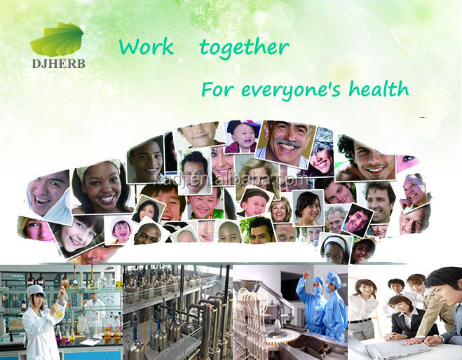 Cocoa extract,cocoa seed extract,cocoa extract powder