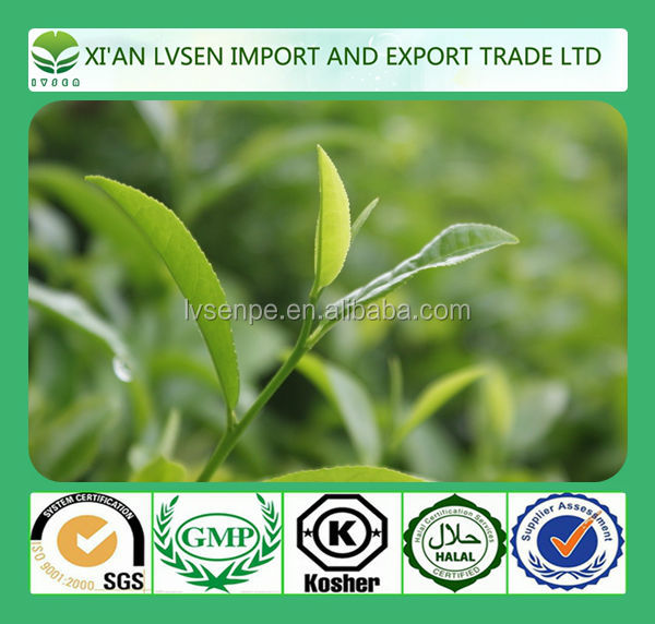 Lowering cholesterol and triglycerides and Reducing blood clotting ecg green tea extract