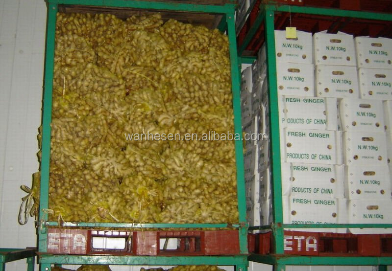 cheap price of fresh ginger in egypt