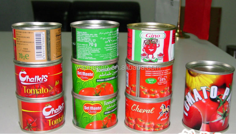 3000g tomato paste processing line