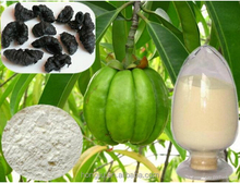 Garcinia Cambogia Extract Suppliers
