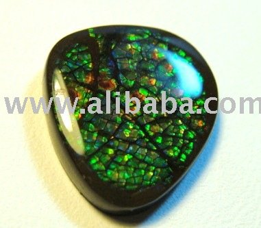 ammolite ammonite freeform gemstone fossil buy semi ammolite ammonite freeform gemstone fossil buy semi