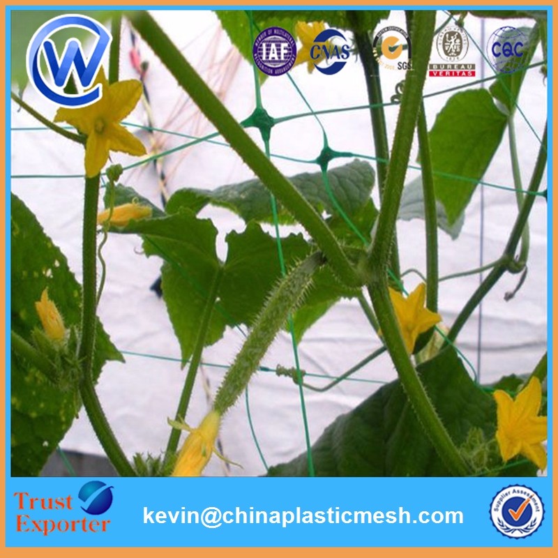 plant climbing support net12.jpg