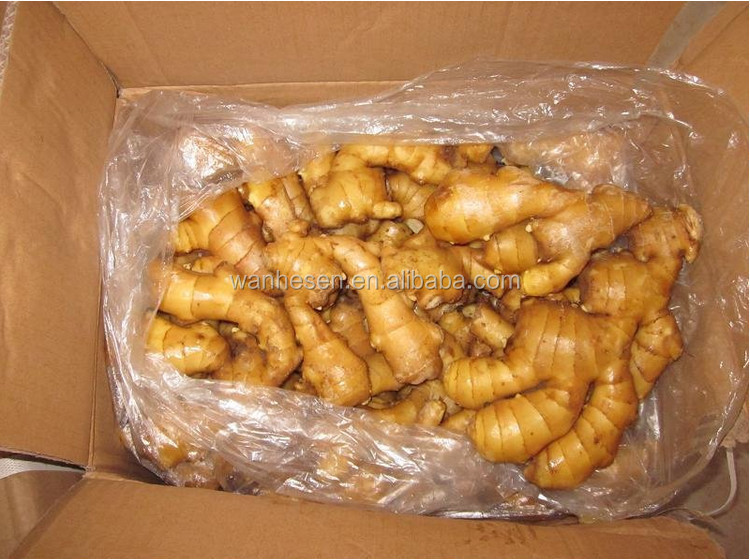 2014 High Quality New Crop Fresh ginger export For UK,CANADA,USA and EU Market 1kg fresh ginger pric
