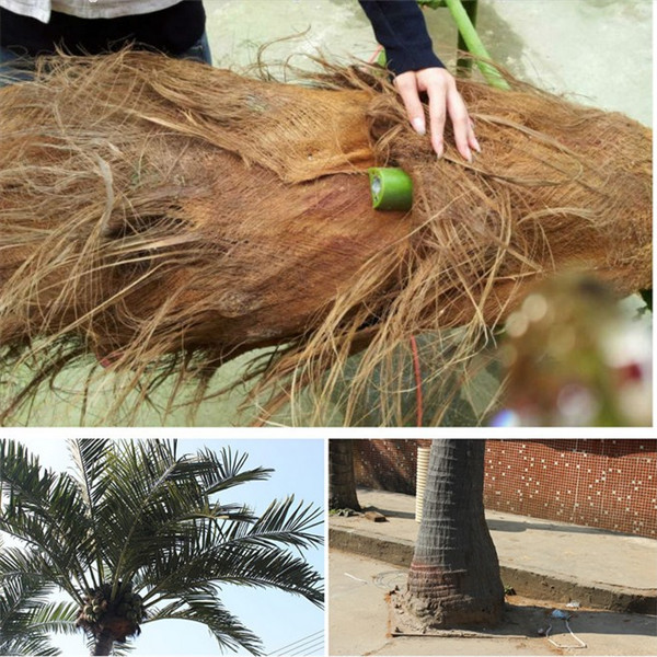 5m China high quality coconut tree home/playground/beach/swimming pool outdoor decoration UV protective artificial coconut tree
