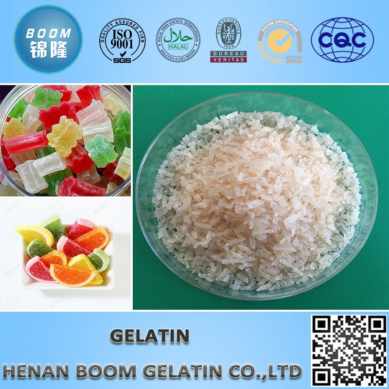 fish gelatin products