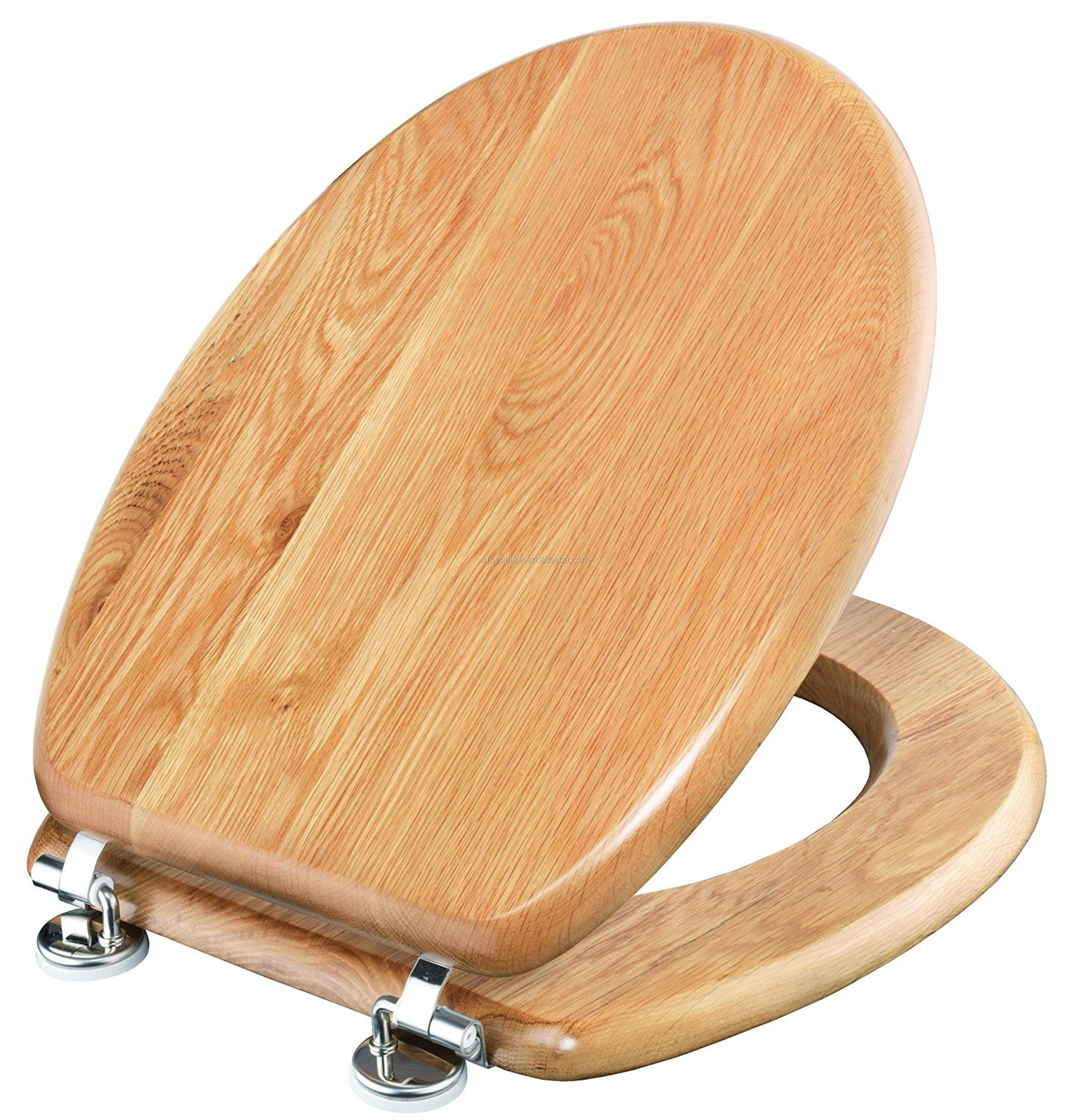 toilet seat.jpg