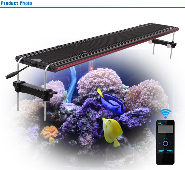 Full Spectrum 48 Inches Evergrow 120cm Led Aquarium Light Buy 120cm