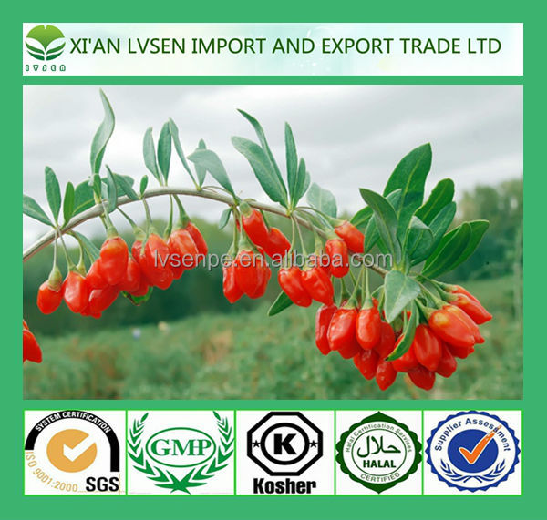 Treating fatigability and Treating high blood fats and diabetes pure goji berry extract
