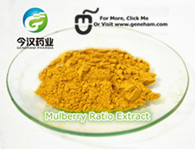 Mulberry Leaf Extract 1-Deoxynojirimycin DNJ Natural White Mulberry