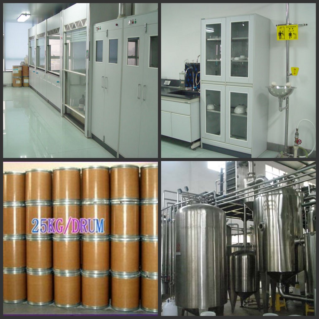 High quality cocoa extract powder