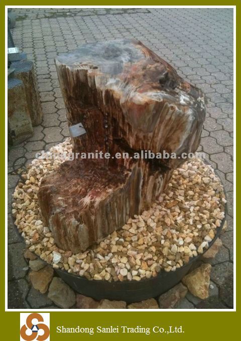 petrified wood stone
