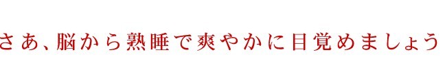 脳が喜ぶ話題の快眠枕!脳冷却3D枕問屋・仕入れ・卸・卸売り