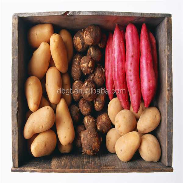 types of potatoes/new type potato product