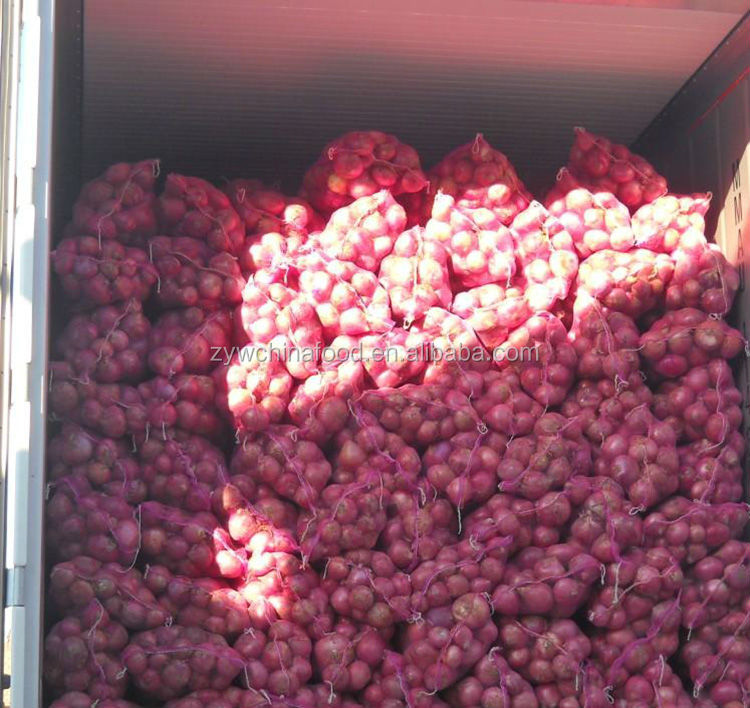 Fresh Onion Red Onion Good Taste For Hot Sale