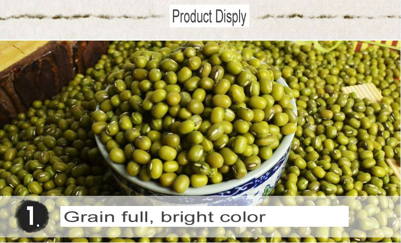 Dry high quality bulk myanmar green mung bean with a good price