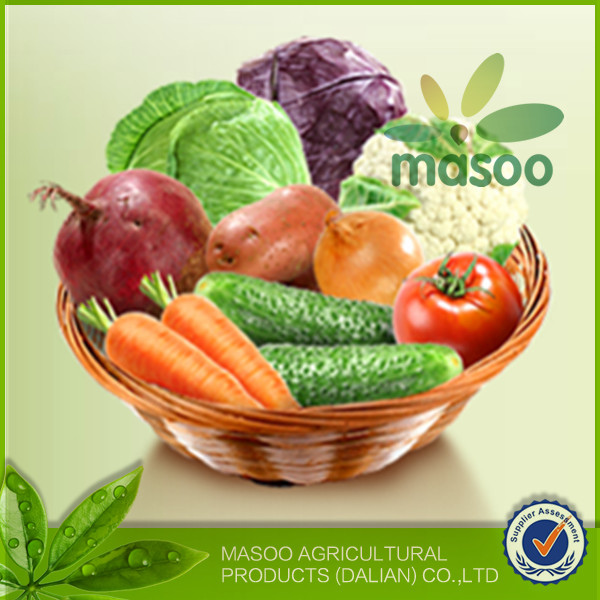 2014 new crop fresh seasonable vegetables plush carrot /carrot exporter in China