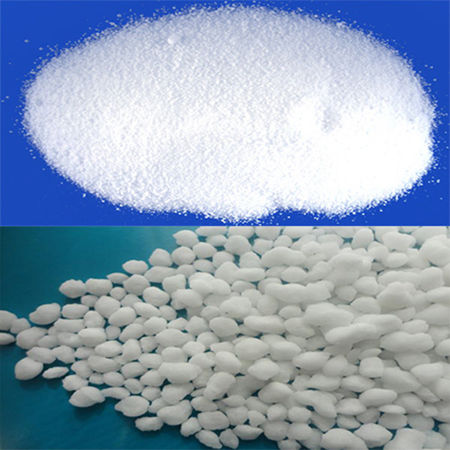 China's high quality cocoa extract powder