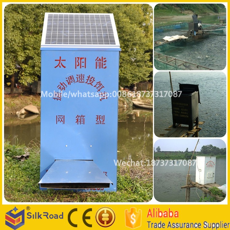 fish feeder4.jpg