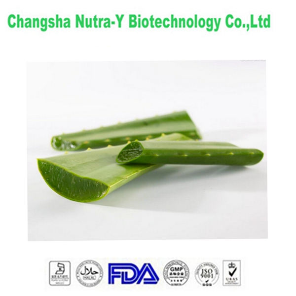 solvent extraction aloe vera extract