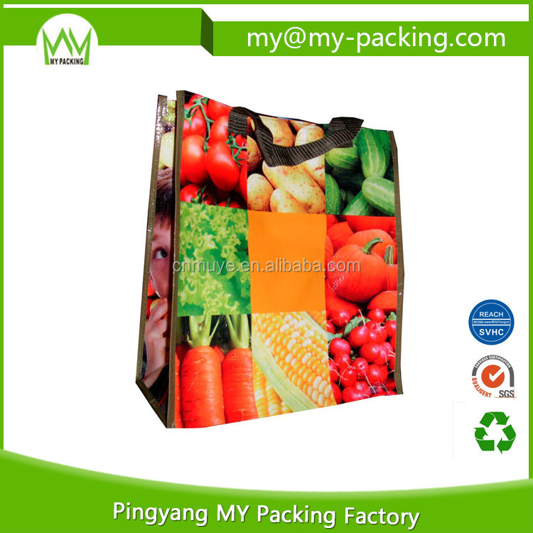 Eco-Shopping-Bag--0001-.jpg0.jpg