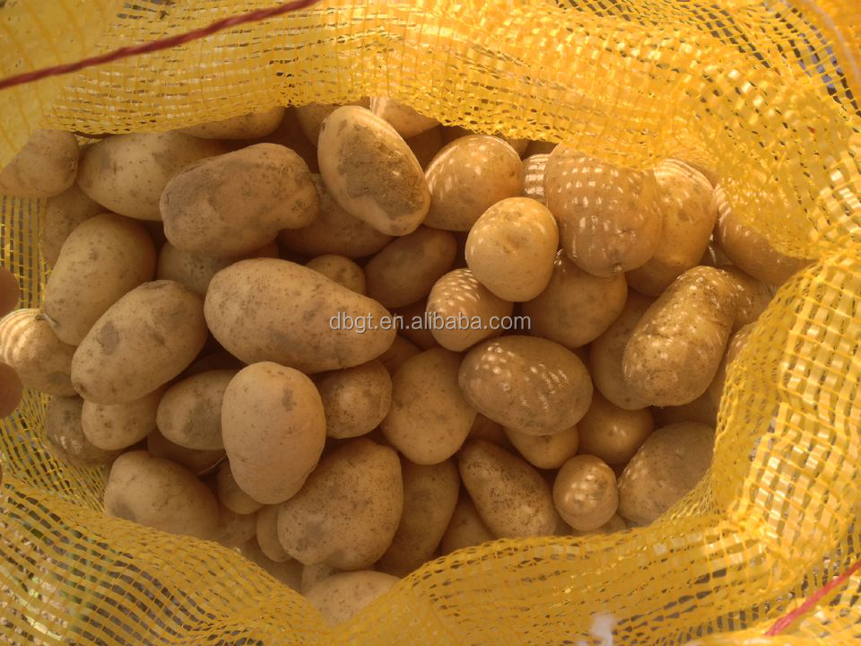 shaanxi new potato product in the market