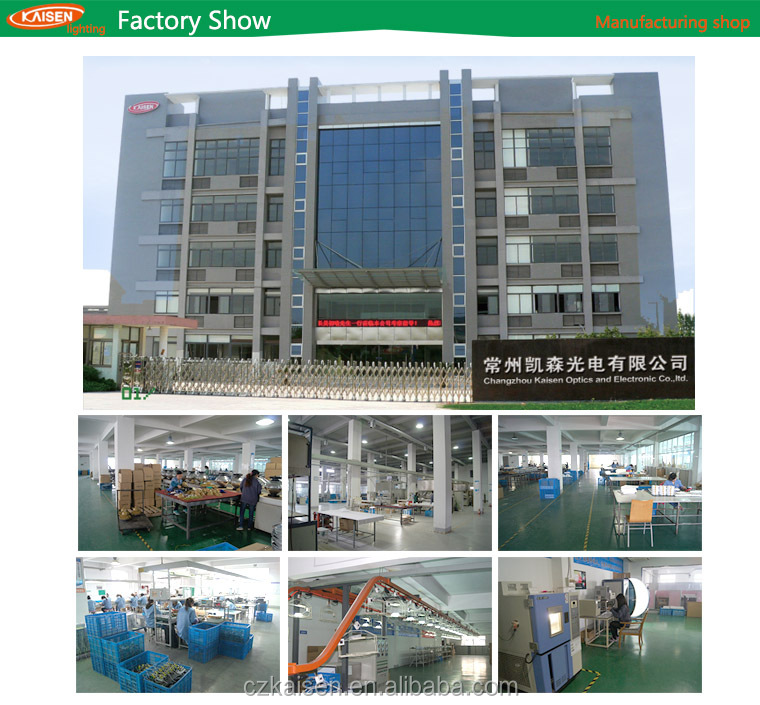 40w60w80w120w150w中国常州alibabaのウェブサイト新製品2014年ip65誘導街路灯仕入れ・メーカー・工場