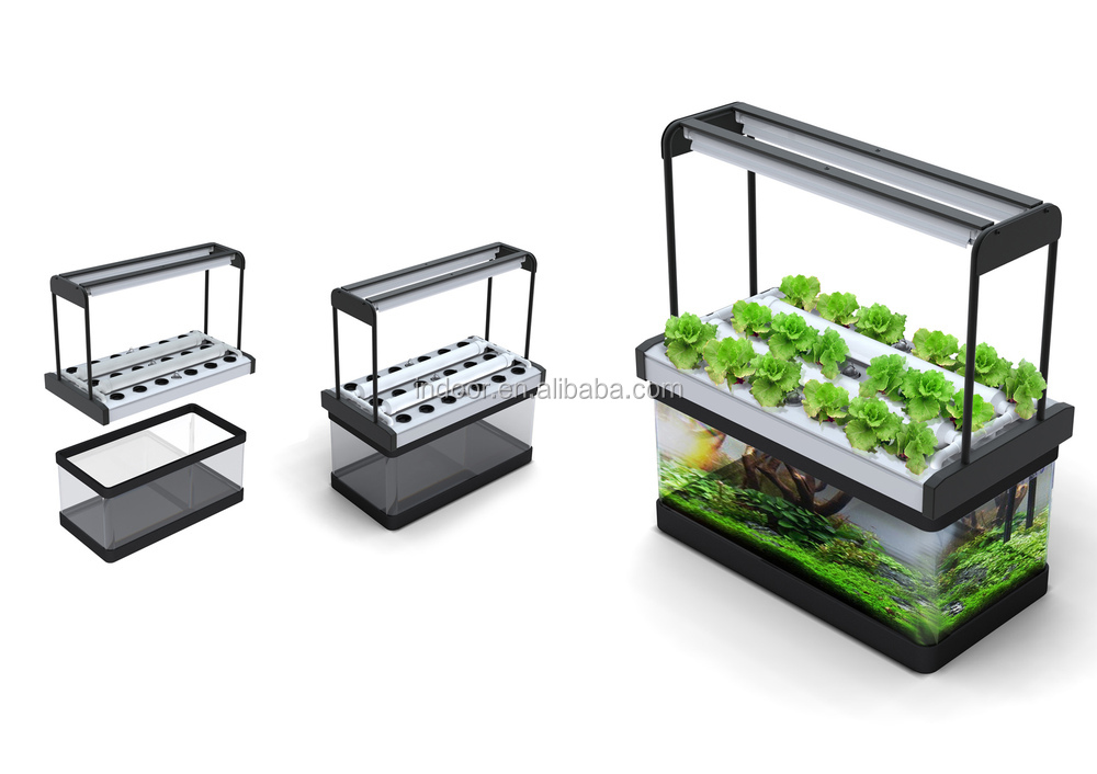 Nft Aquaponics System images