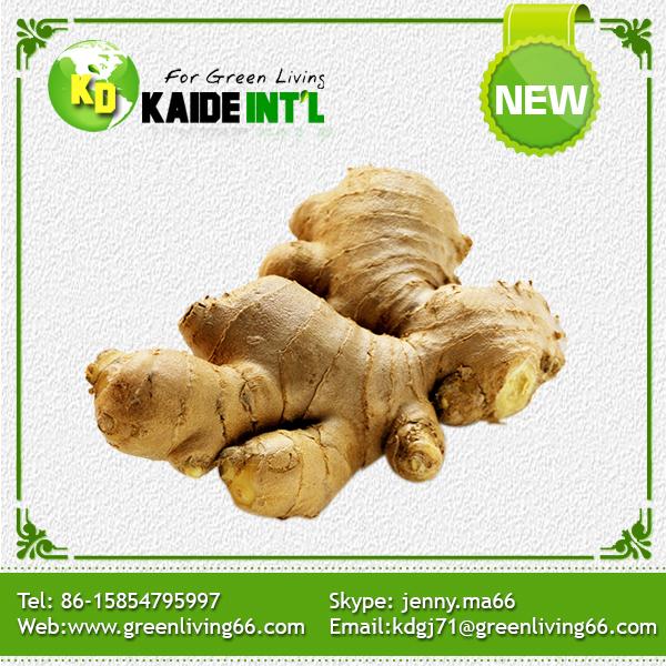 Excellent Fresh Ginger From Shandong China Product