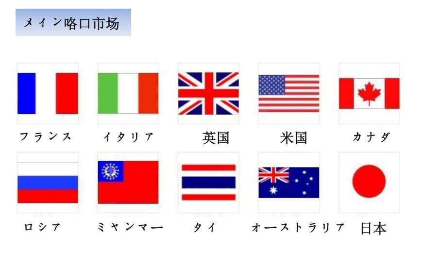最新型室内水力マッサージに浸かった問屋・仕入れ・卸・卸売り