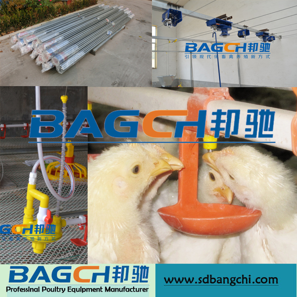 2015 Hot Sale Automatic Nipple Broiler Chicken Water Line Equipment .jpg