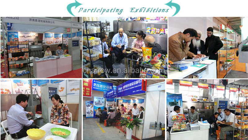 High Quality Automatic Twin Screw Dry Dog Food Extrusion Machine