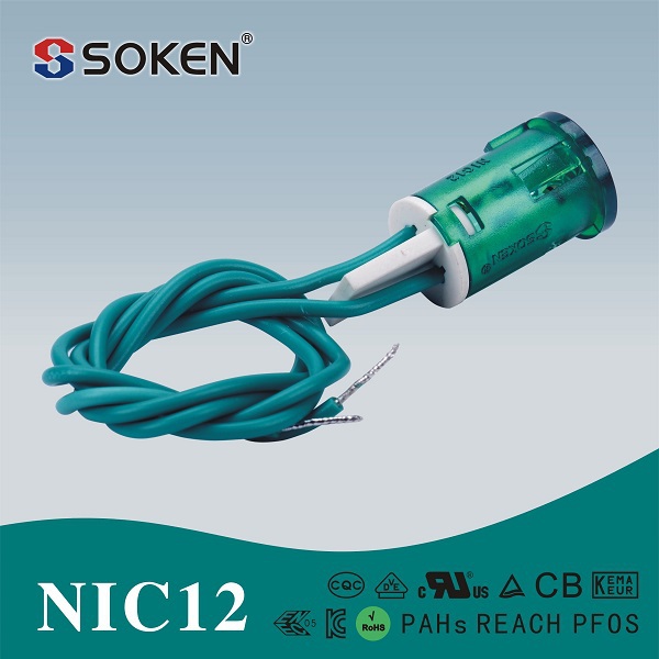NIC12-A2.jpg