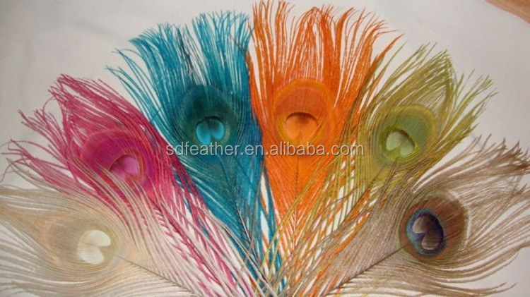 25-30cm bleached white peacock feather for sale cheap