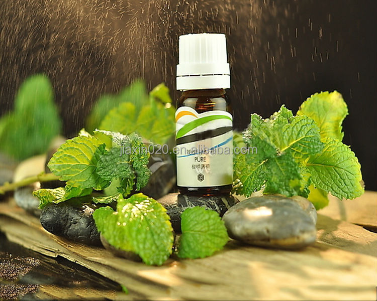 Buy Free Sample black pepper essential oil Prices Wholesale Bulk Mint