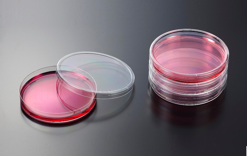 NEW 9CM PETRI DISHES.jpg