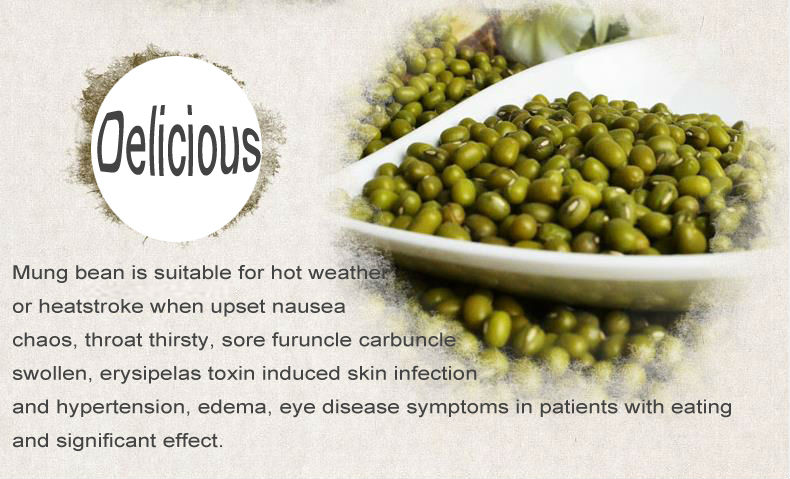 Dry high quality bulk green mung bean specification with a good price