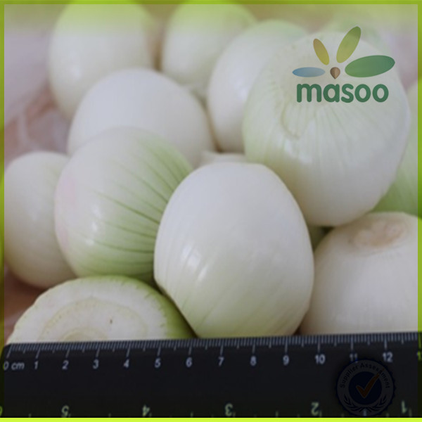 export 2014 fresh onion