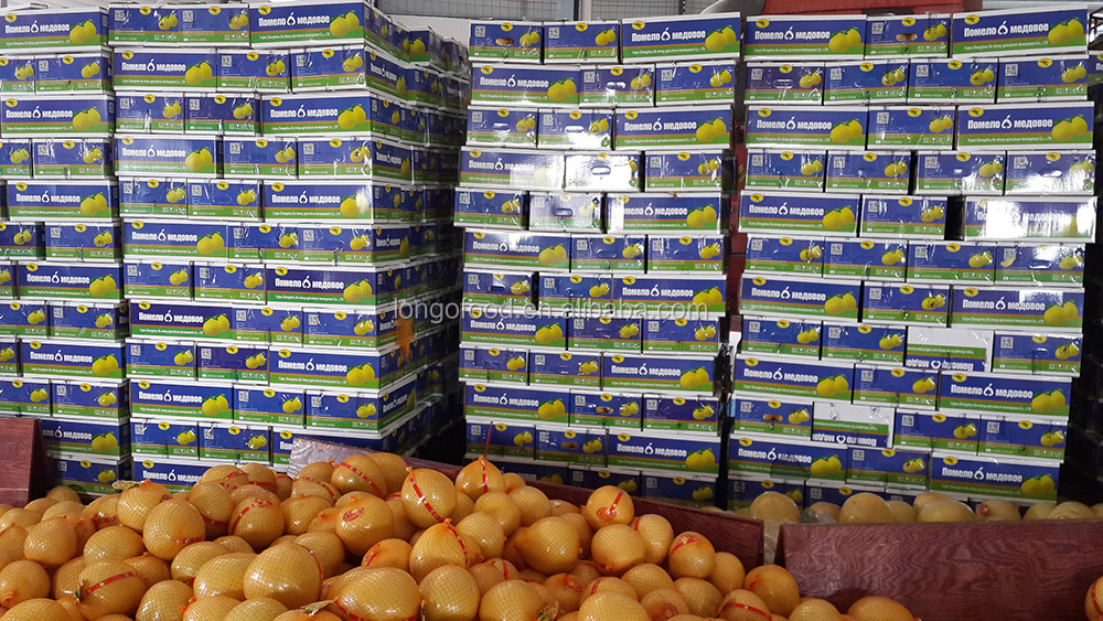 China pomelo fruit