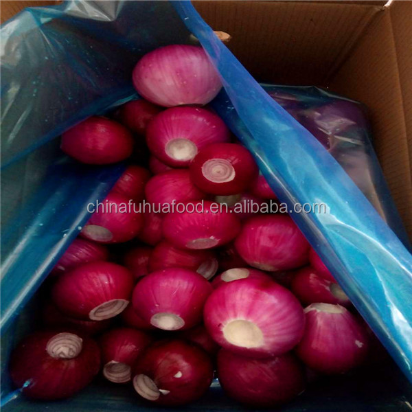 Fresh Onion On Sale