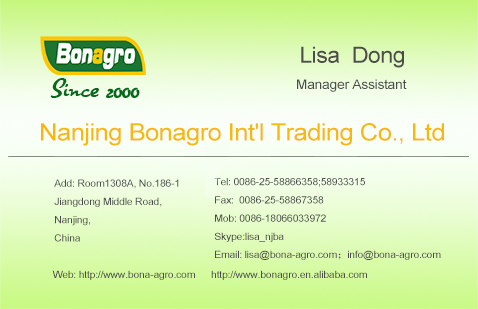 2014 crop tops lentil/lentil bean China supplier