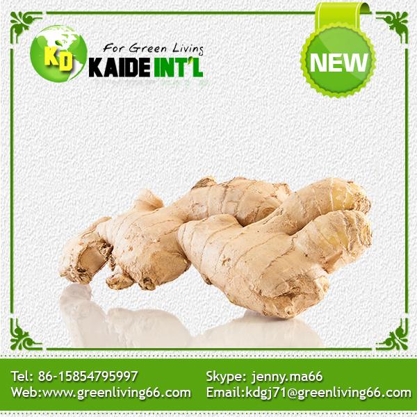 Fresh Ginger (50g-350g) In Mesh Bag Product