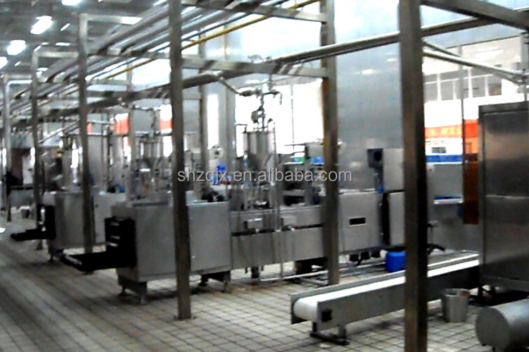 2000L/H Pasteurized milk complete processing line on turkey basis