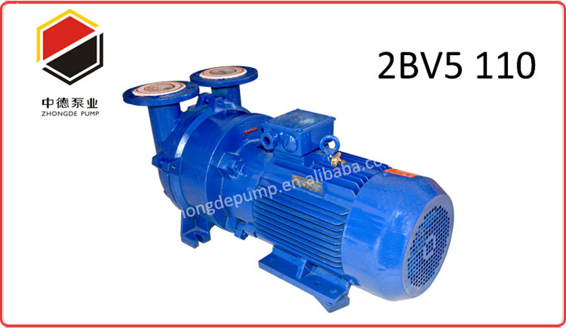 liquid ring vacuum pump -1.jpg