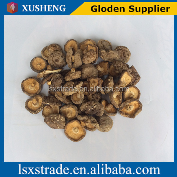 shiitake mushroom with cheap price(B)